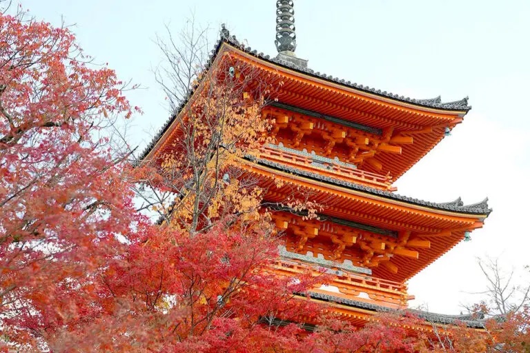 京都　紅葉　清水寺